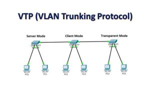 vlan trunking protocol