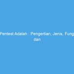 Pentest Adalah : Pengertian, Jenis, Fungsi dan Tahapan