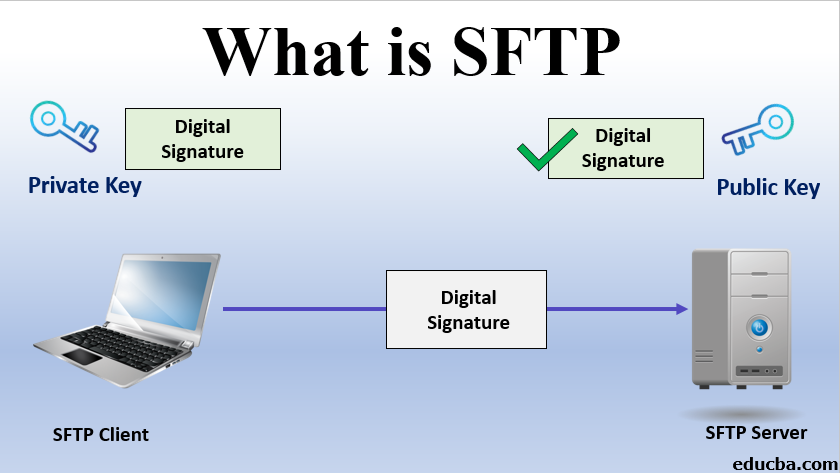 SFTP Server