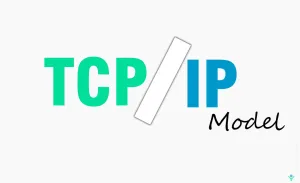TCP/IP Model