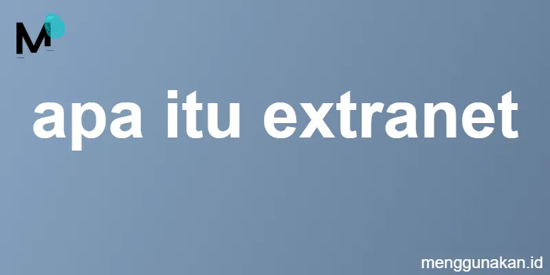 apa itu extranet