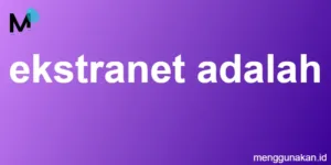 ekstranet adalah