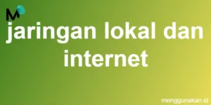 jaringan lokal dan internet