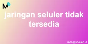 jaringan seluler tidak tersedia