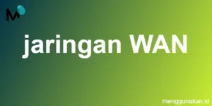 jaringan WAN