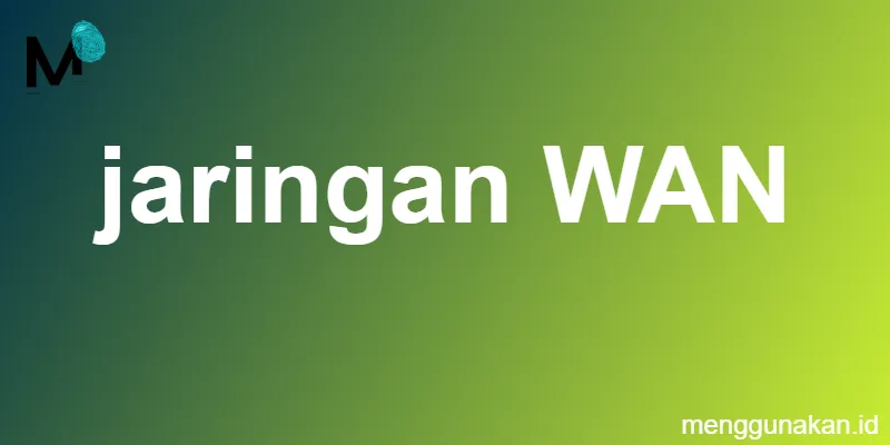 jaringan WAN
