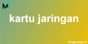 kartu jaringan