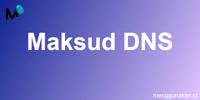 maksud DNS