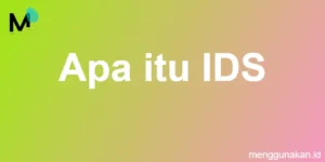 Apa itu IDS