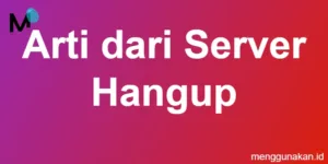 arti dari server hangup