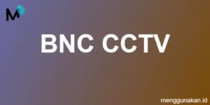 BNC CCTV