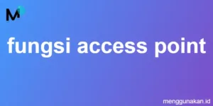fungsi access point