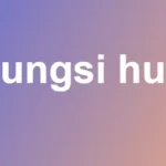 Fungsi hub