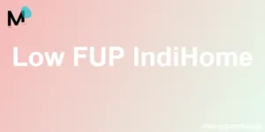 Low FUP IndiHome
