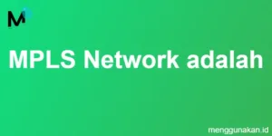 MPLS Network adalah