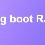 Plug boot RJ45