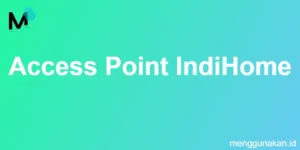 Access Point IndiHome