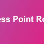 Access Point Router