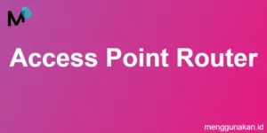 Access Point Router