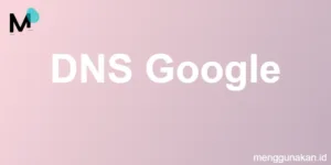 DNS Google