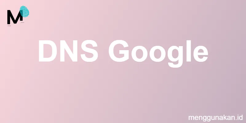 DNS Google