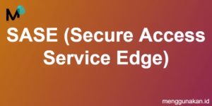SASE (Secure Access Service Edge)